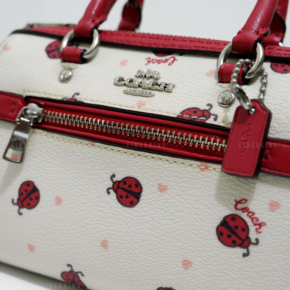 Micro Rowan Hand Bag with Ladybug Print No Strap Finer Kind